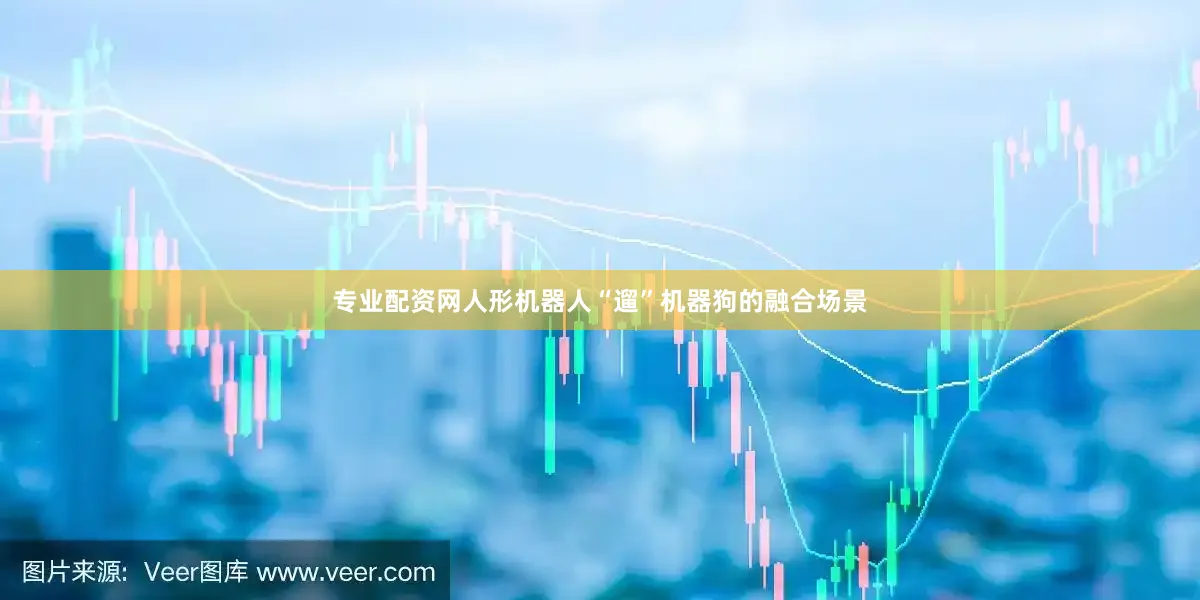 专业配资网人形机器人“遛”机器狗的融合场景