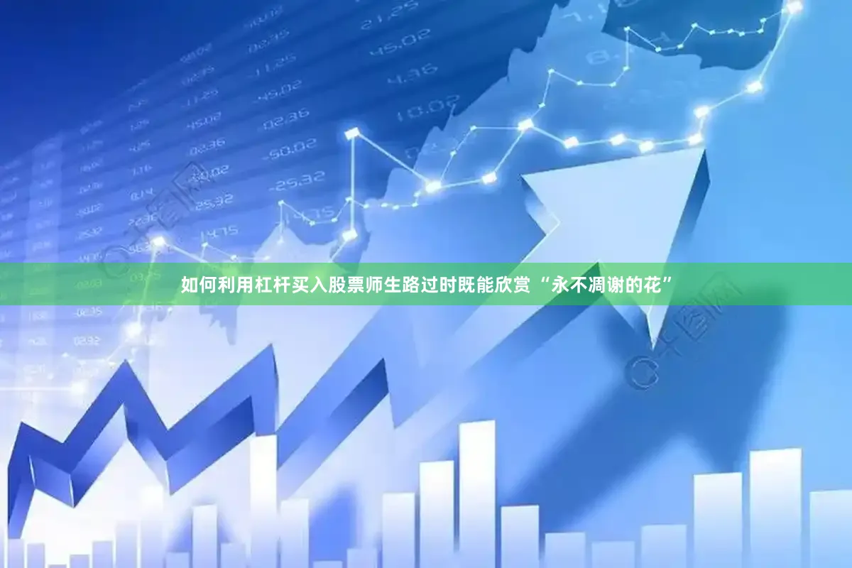 如何利用杠杆买入股票师生路过时既能欣赏 “永不凋谢的花”